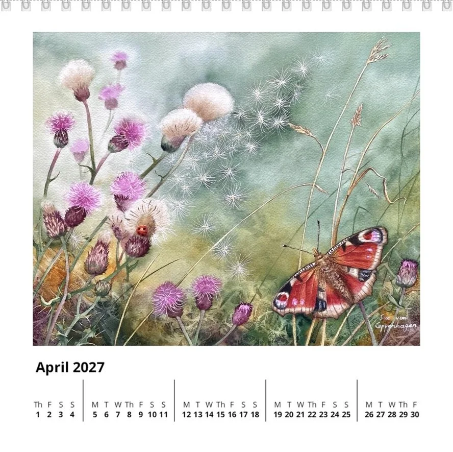 April page of a square standing calendar with dates below a painting of a peacock butterfly perched on a thistle plant with thistledown blowing above