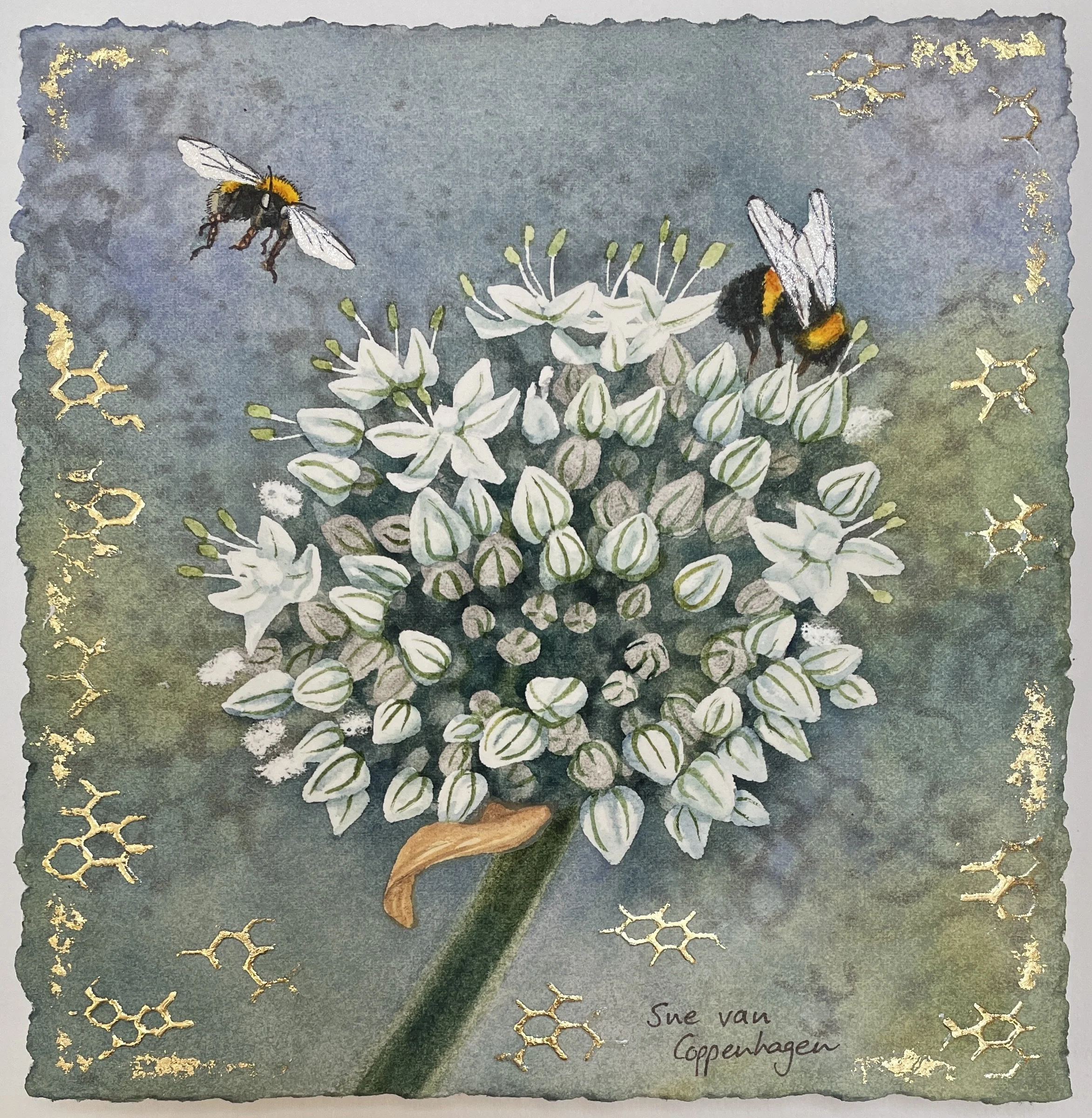 Painting of a white allium flower on a blue-grey textured background with two bumble bees, and patterns of honeycomb in gold leaf around the edges