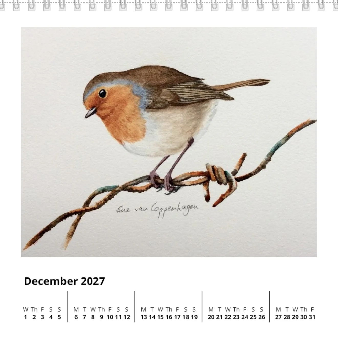 December page of a square standing calendar with dates below a painting of an Irish red breasted robin bird perched on a strand of rusty wire