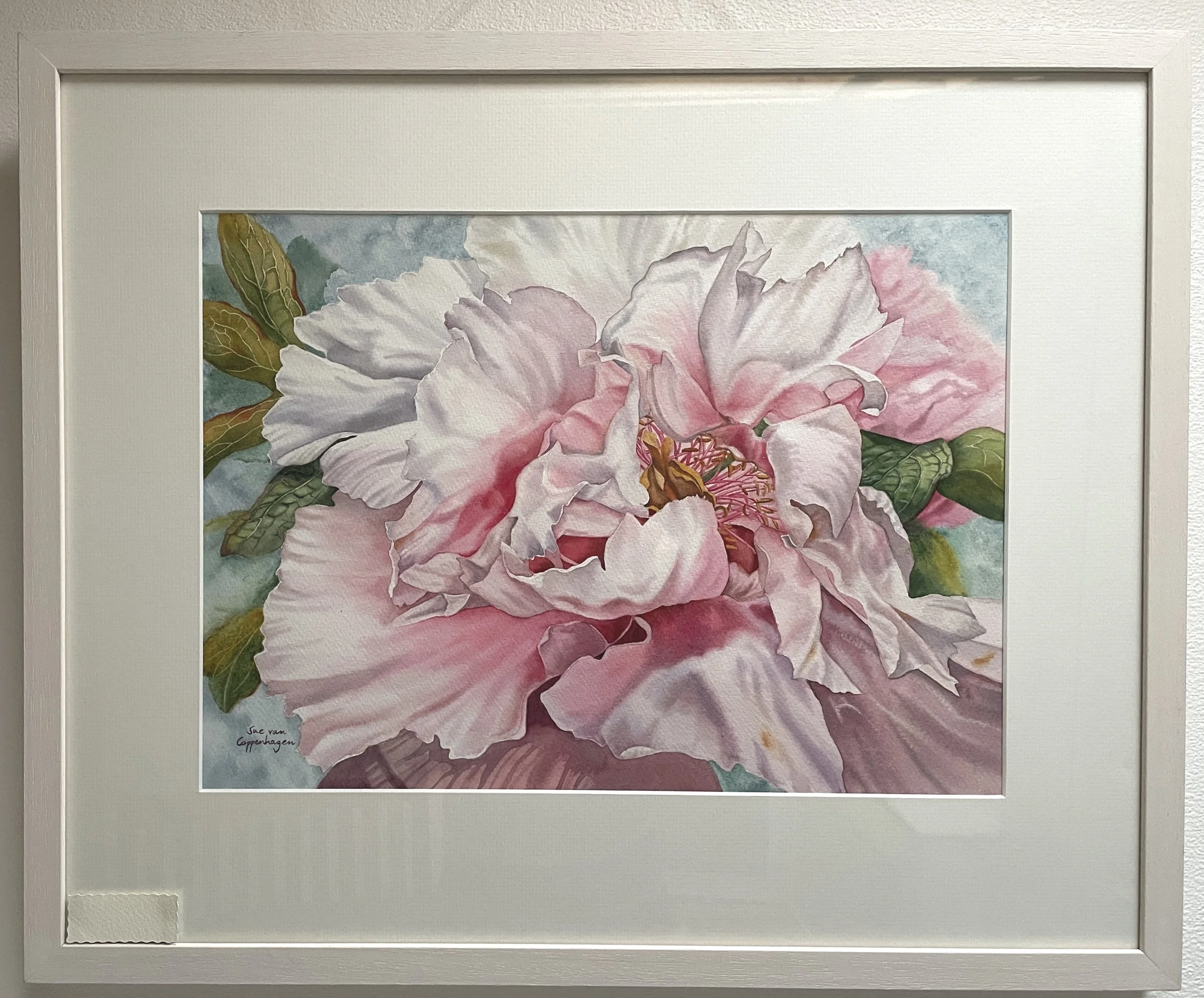 Painting of a pale pink peony flower with a few leaves showing and a slight surround of grey-blue, framed in an off white frame