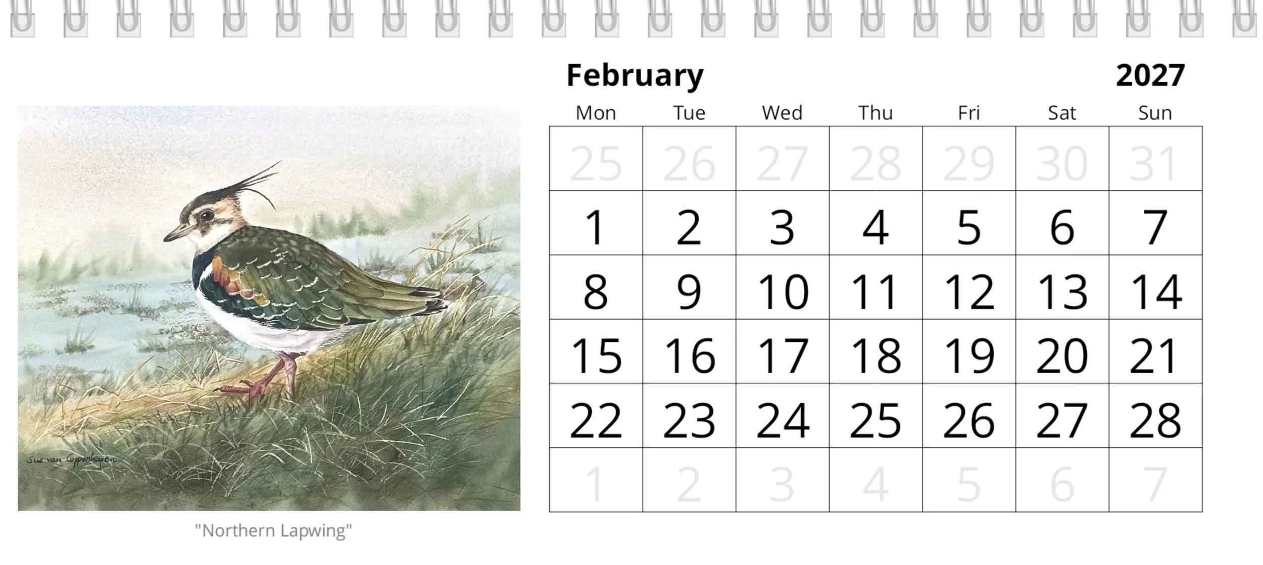 February calendar page with a painting of a Northern Lapwing bird walking through grasses
