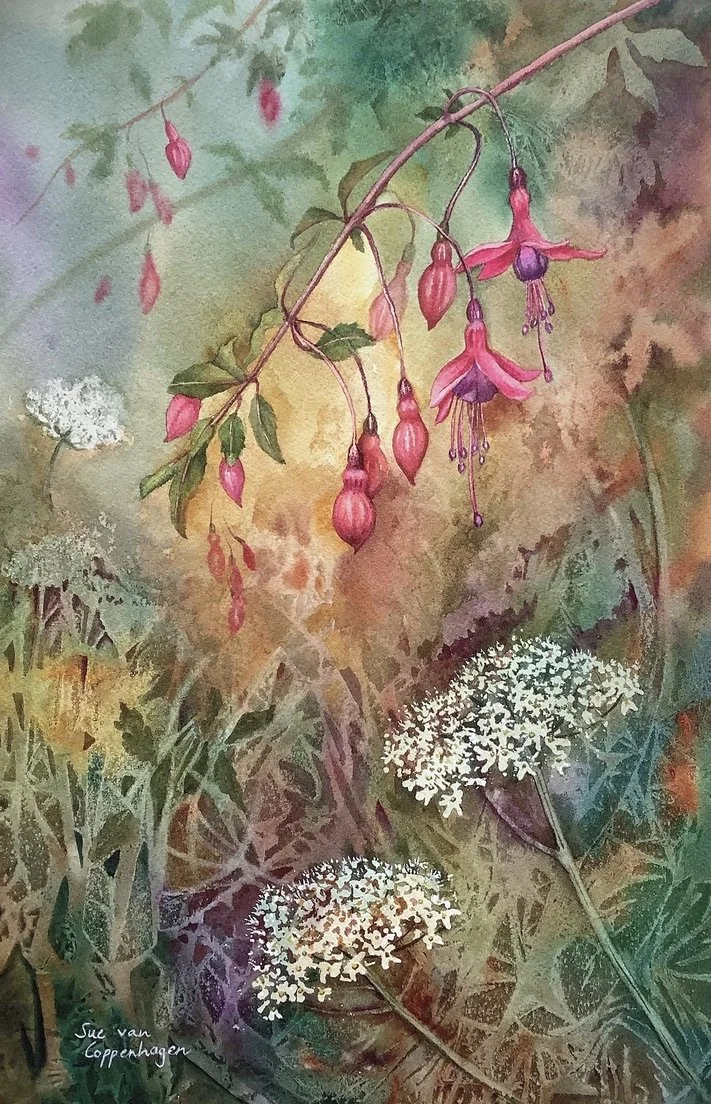 Painting of fuchsia flowers spraying out of a hedgerow above white hogweed flowers