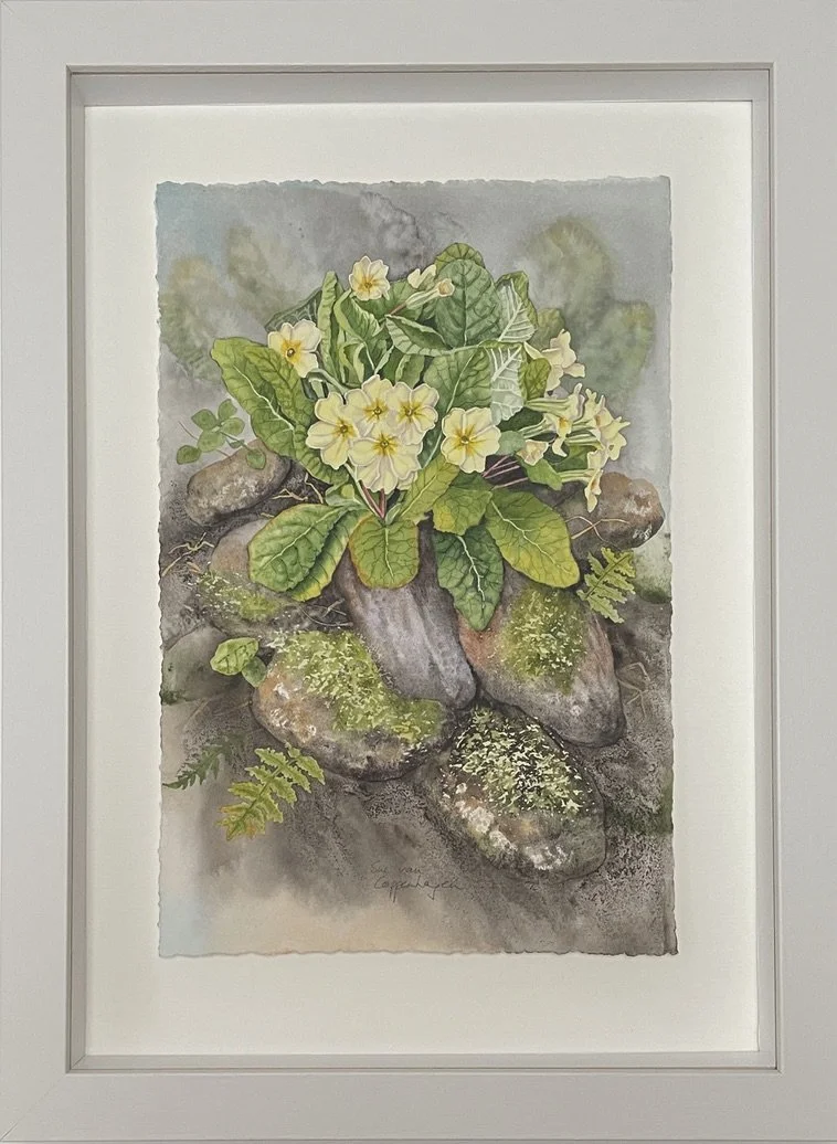 Painting of primrose flowers and leaves on a stony wall, framed in an off white wooden frame