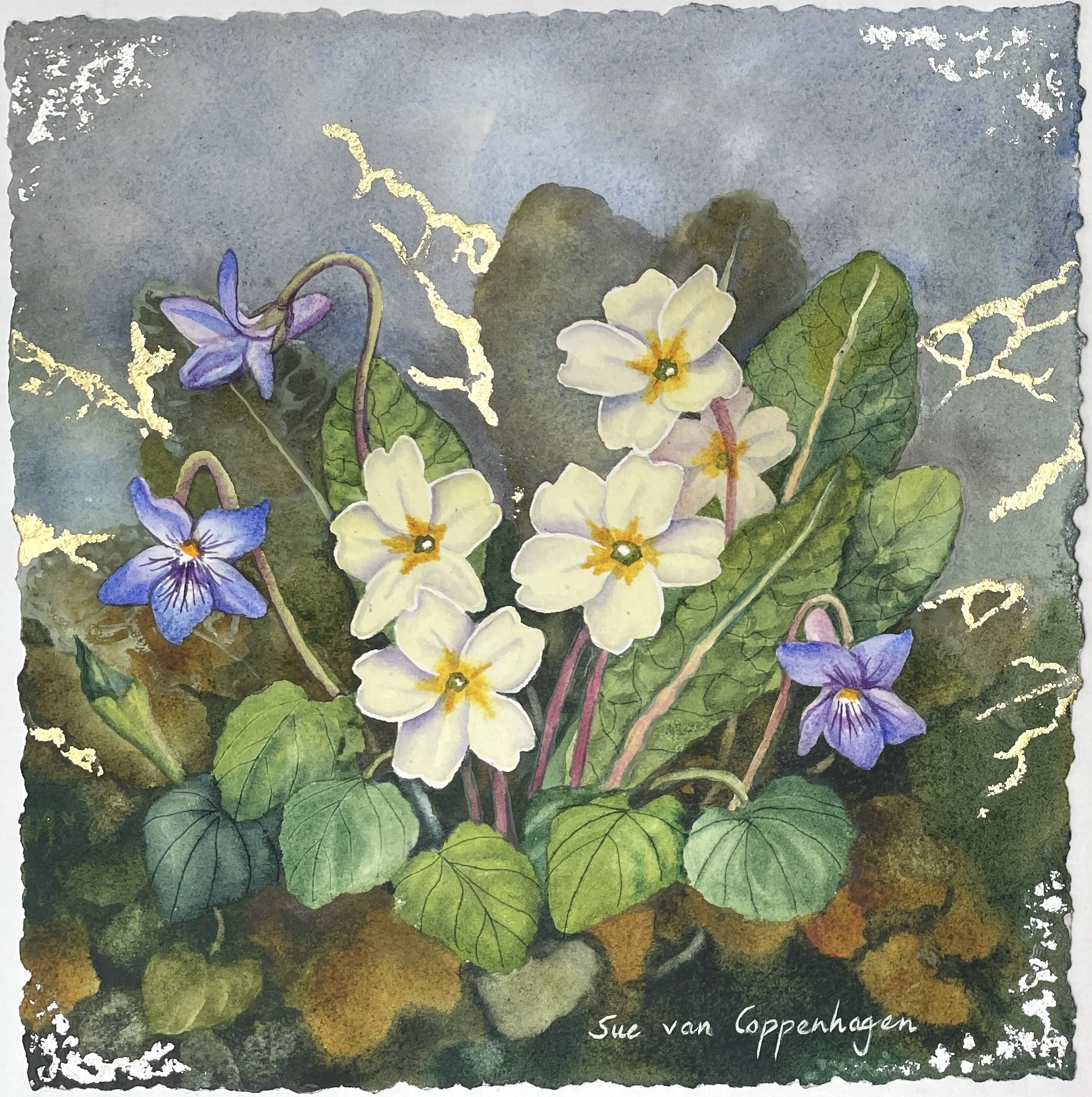 Watercolour painting of three violets and five pale yellow primroses on a blue-grey background above and rich greens below, with details picked out in gold leaf