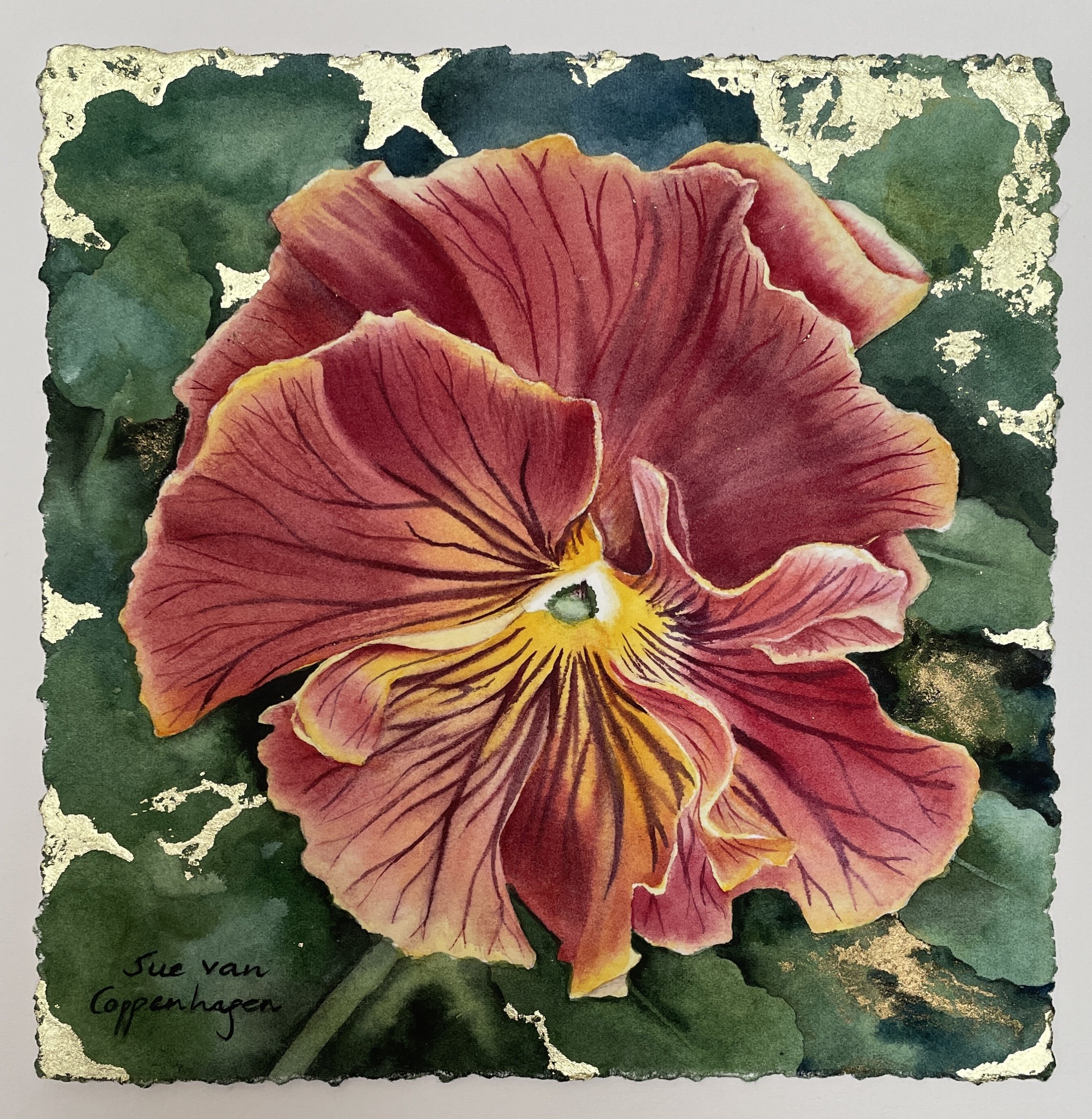 Painting of a plum coloured pansy with frilly petals on a dark green background with patterns of gold leaf applied