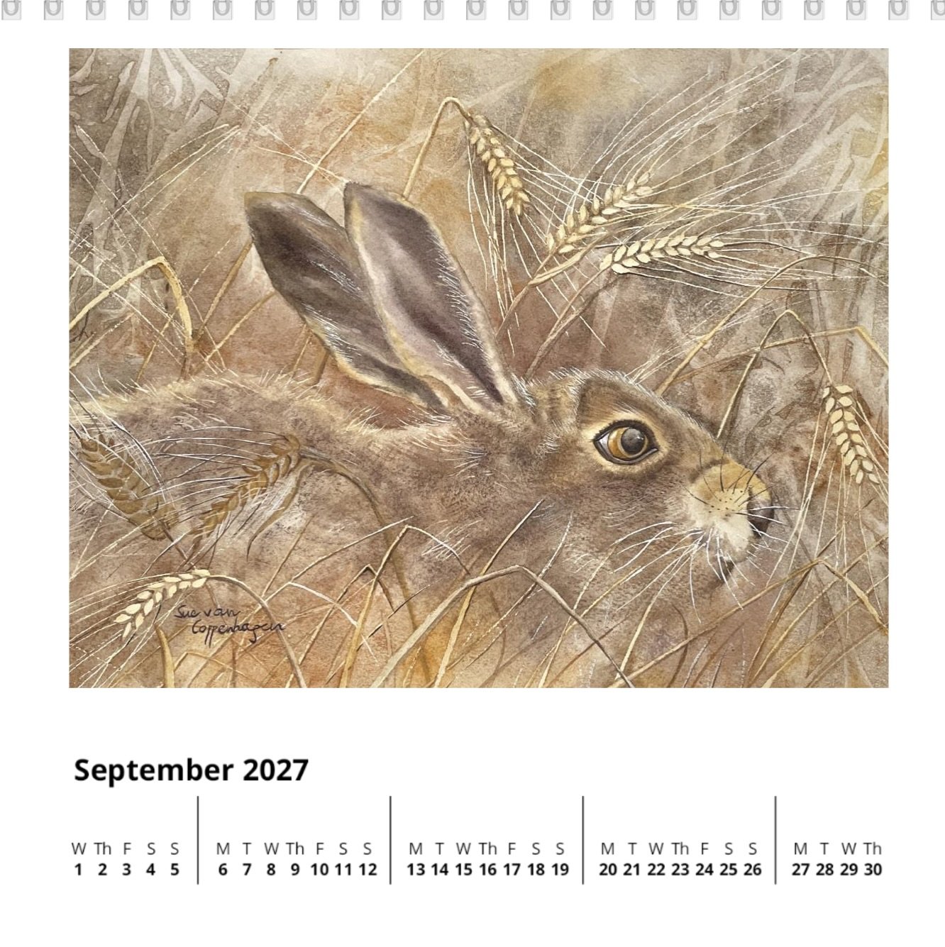 September page of a square standing calendar with dates below a painting of a hare hiding in a wheat field