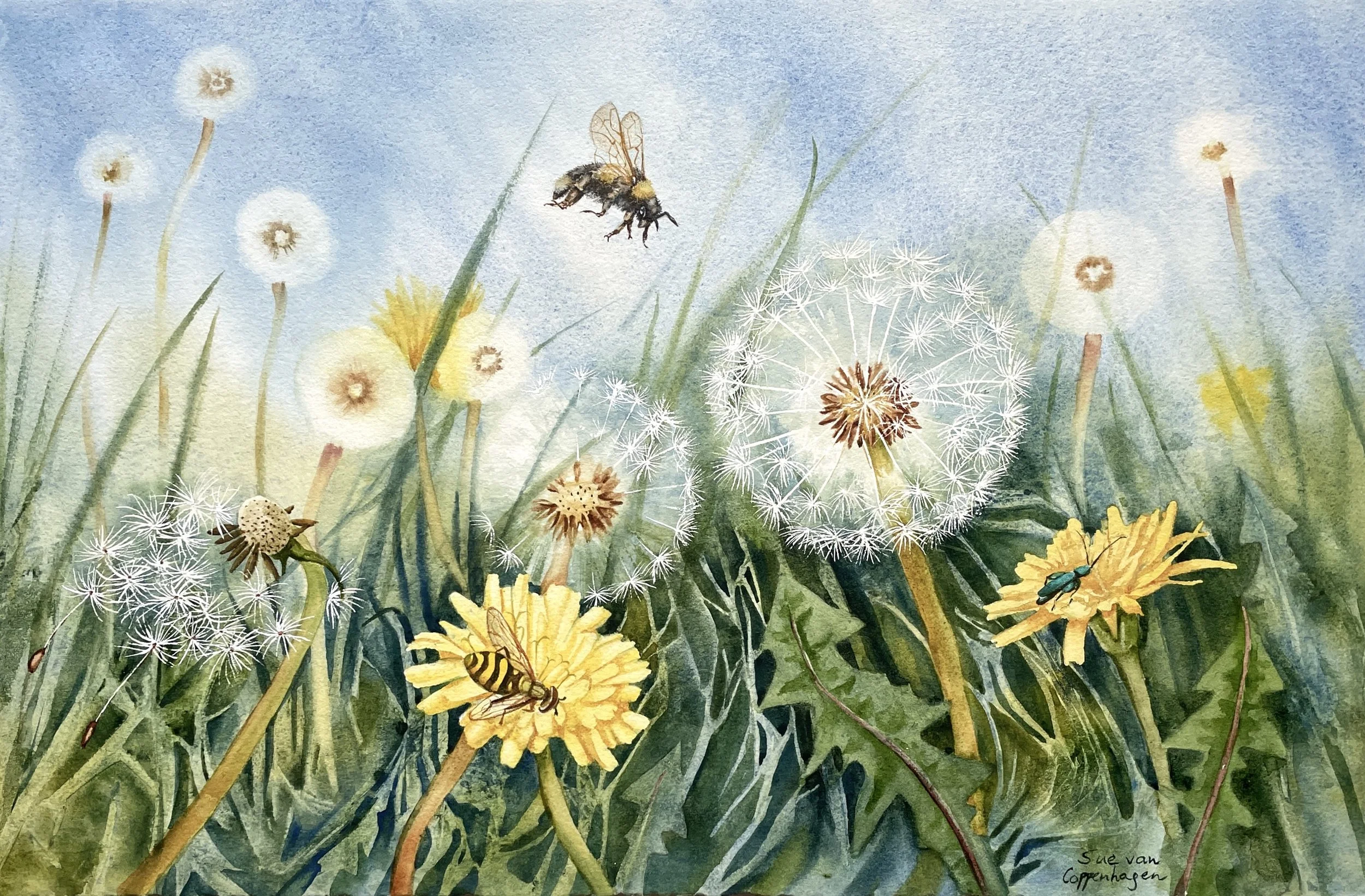 Painting of dandelion flowers and clocks with bees and beetles