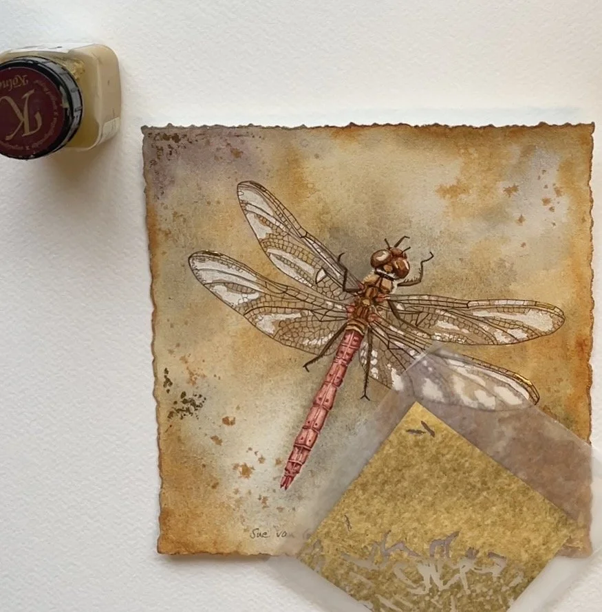 Video of the process of applying gold leaf to a painting of a dragonfly