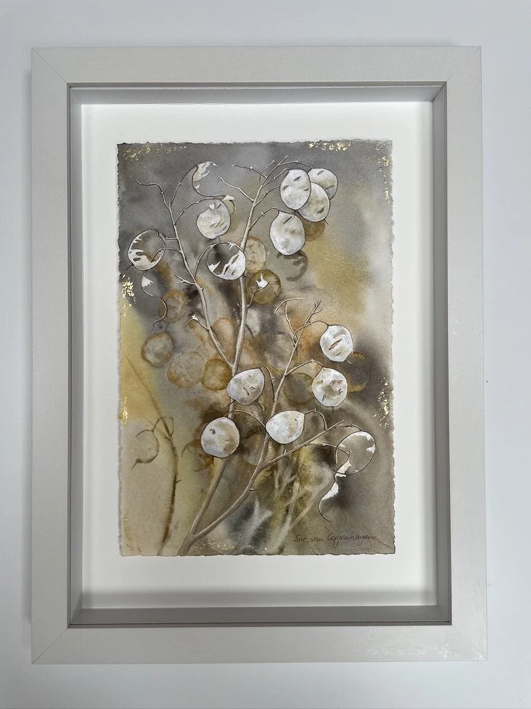 Watercolour painting of dried honesty seed pods in an off white wooden frame