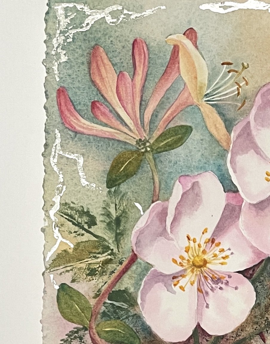 Detail of a painting showing a dog rose and honeysuckle flowers