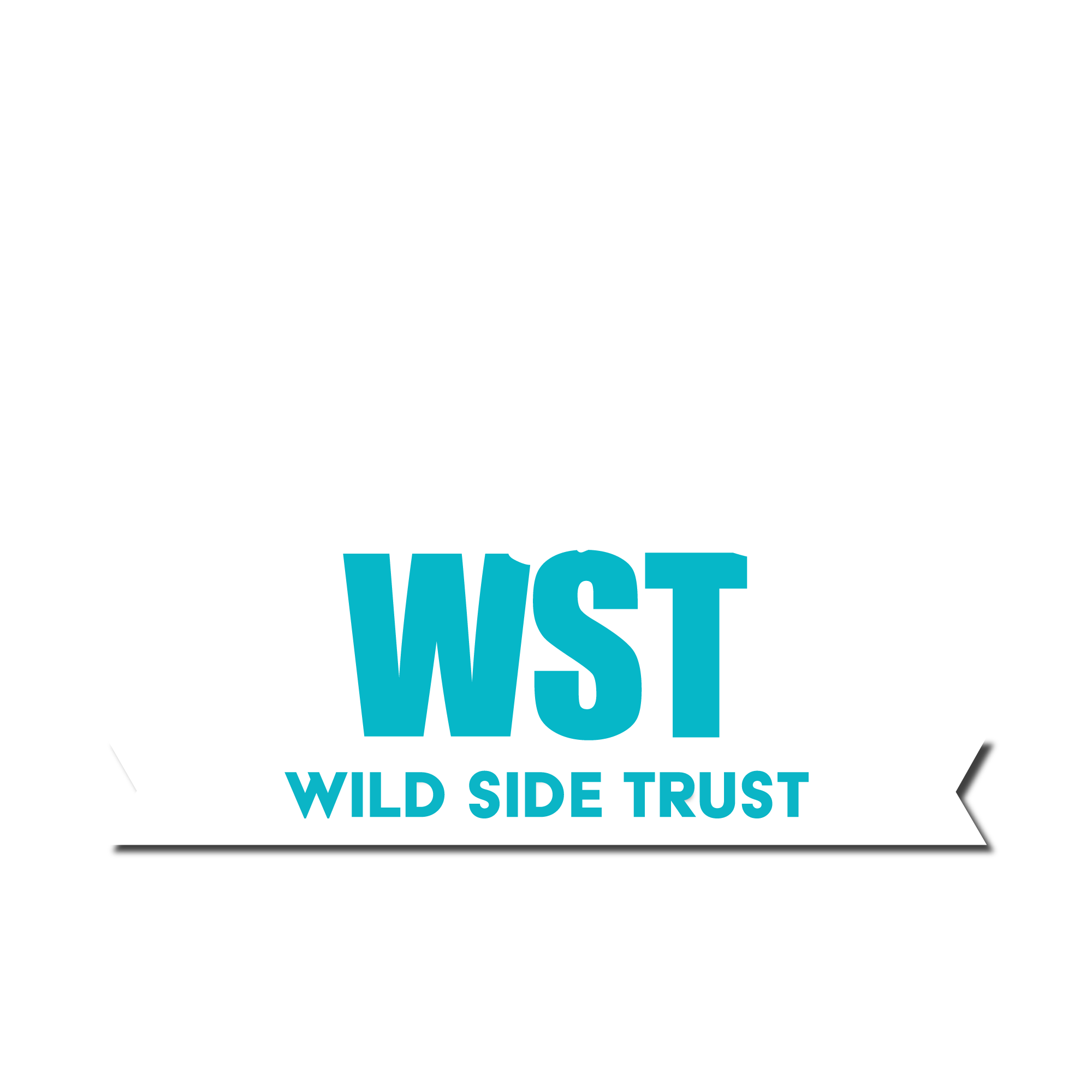 Wild_Side_Trust.png