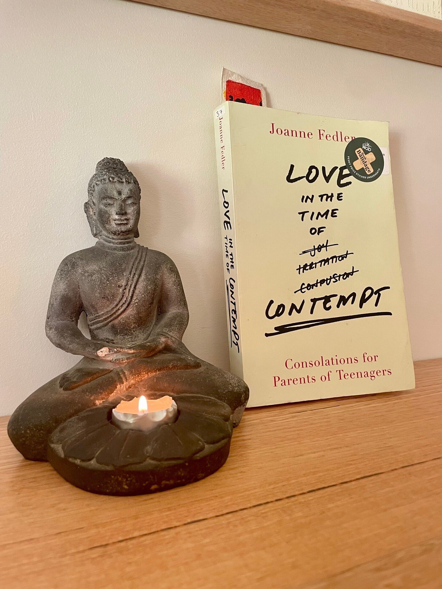 📚👩&zwj;👧&zwj;👦💕

If you're a parent of teenagers, you know how challenging it can be to navigate the ups and downs of this stage of life. But fear not, because Joanne Fedler's book Love In The Time of Contempt: Consolations for Parents of Teenag
