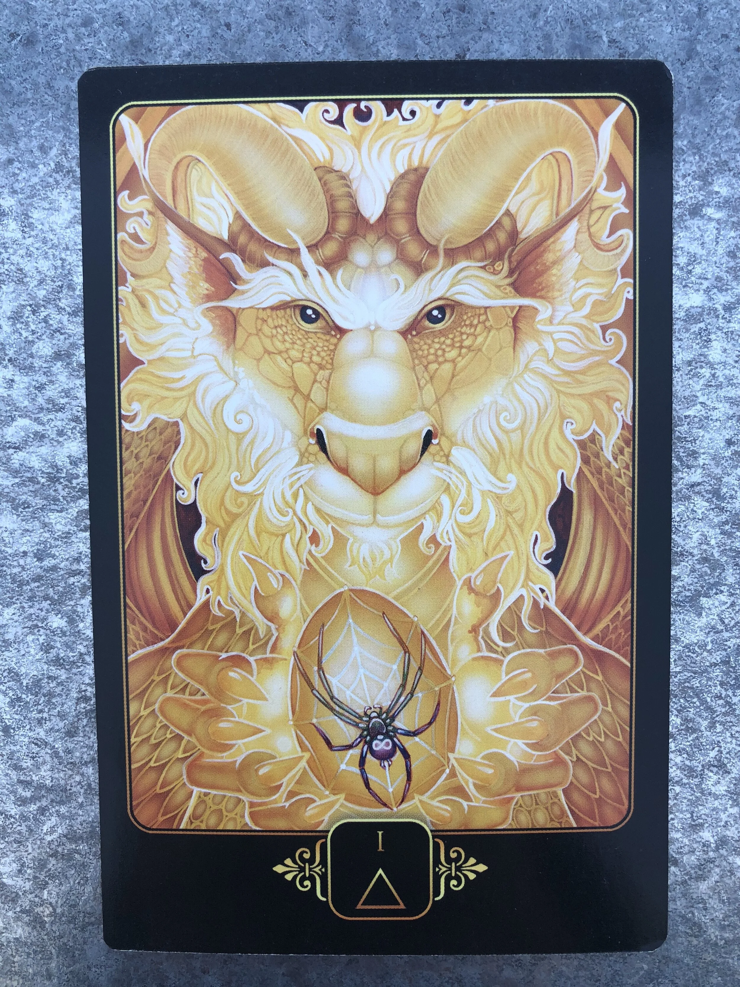 Wisdom of the Hidden Realms: Collette Baron-Reid