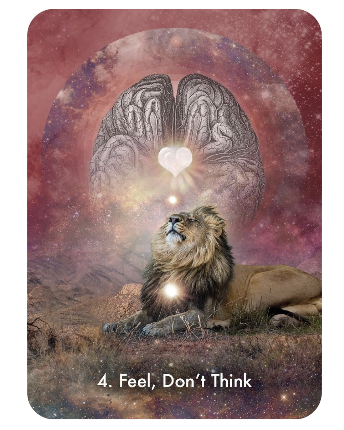 Screenshot 2026-02-04 at 9.14.29 PM.png