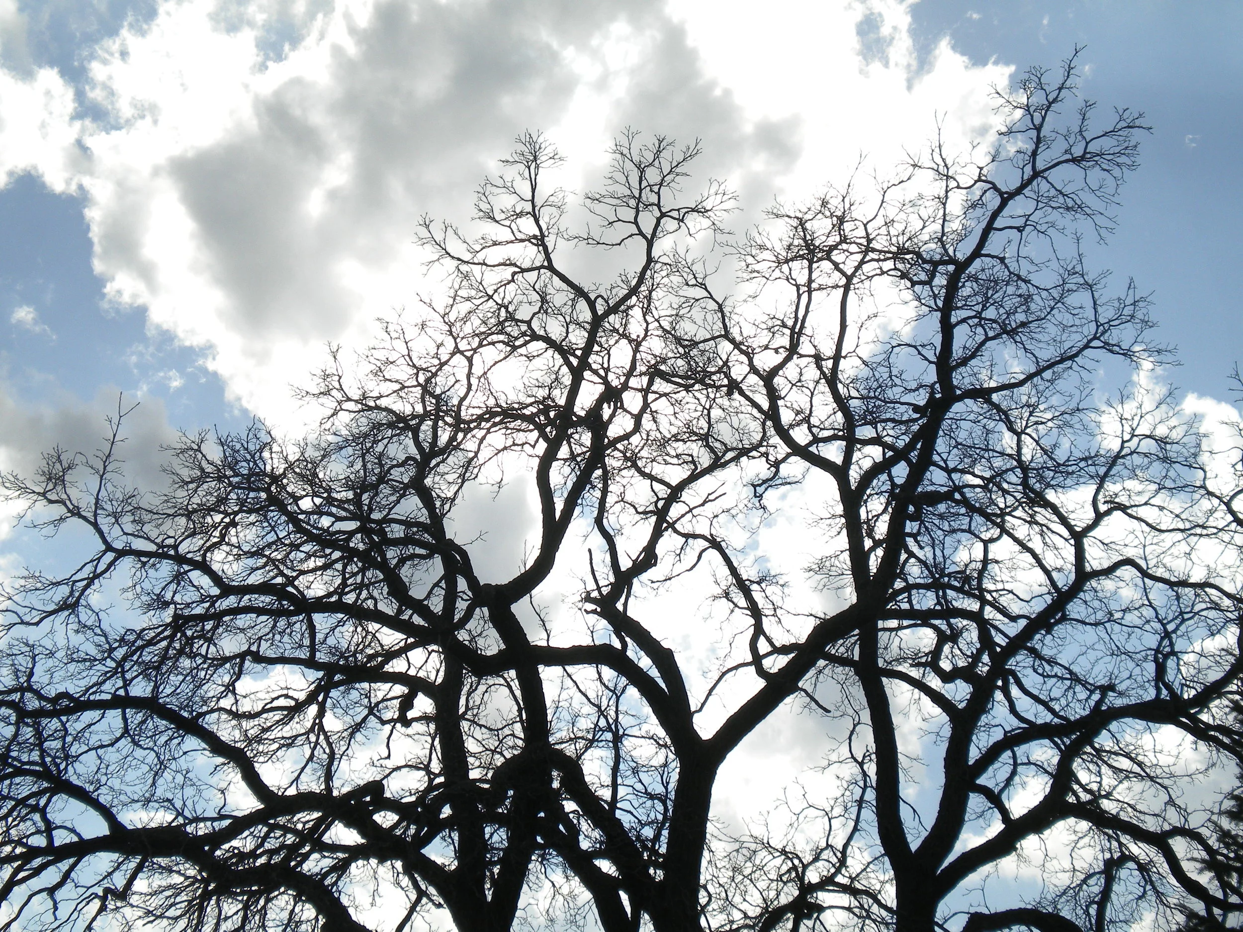 DSCN3888.JPG