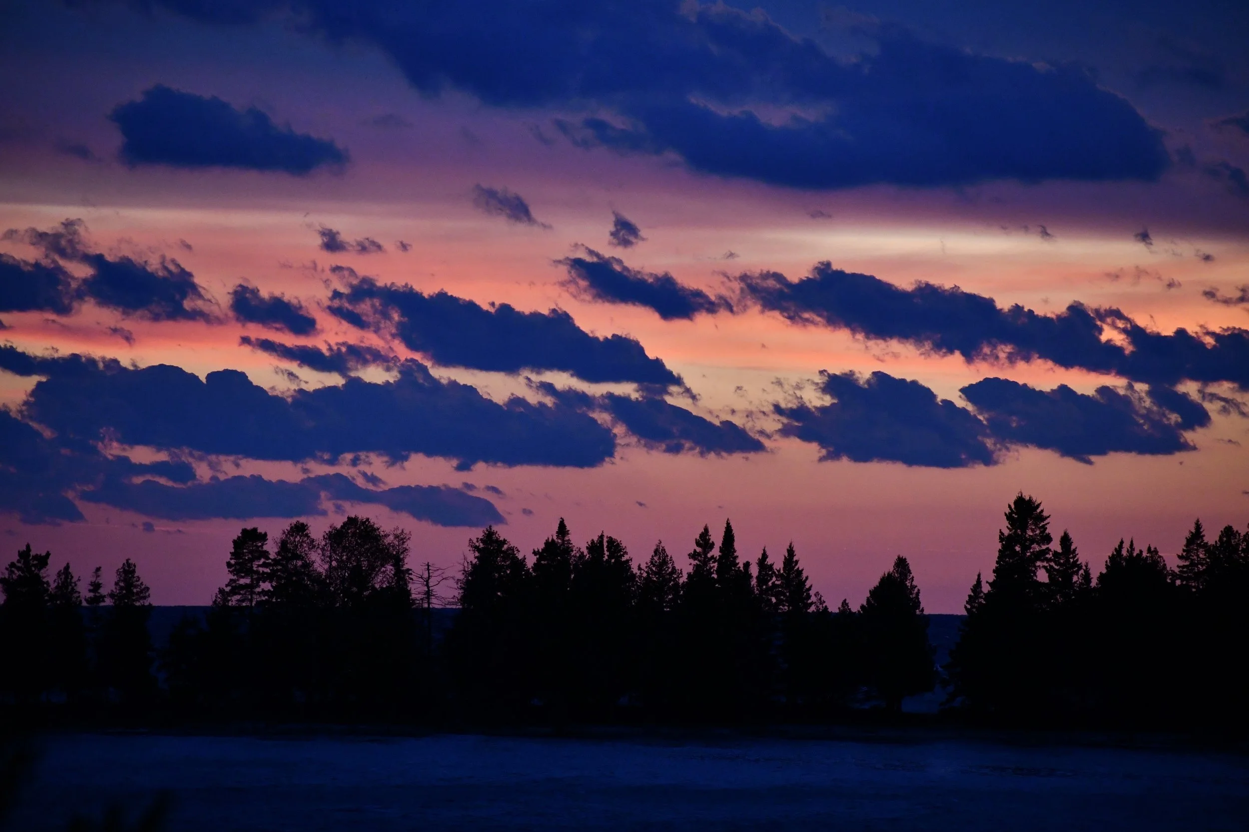 DSC_0136.jpg