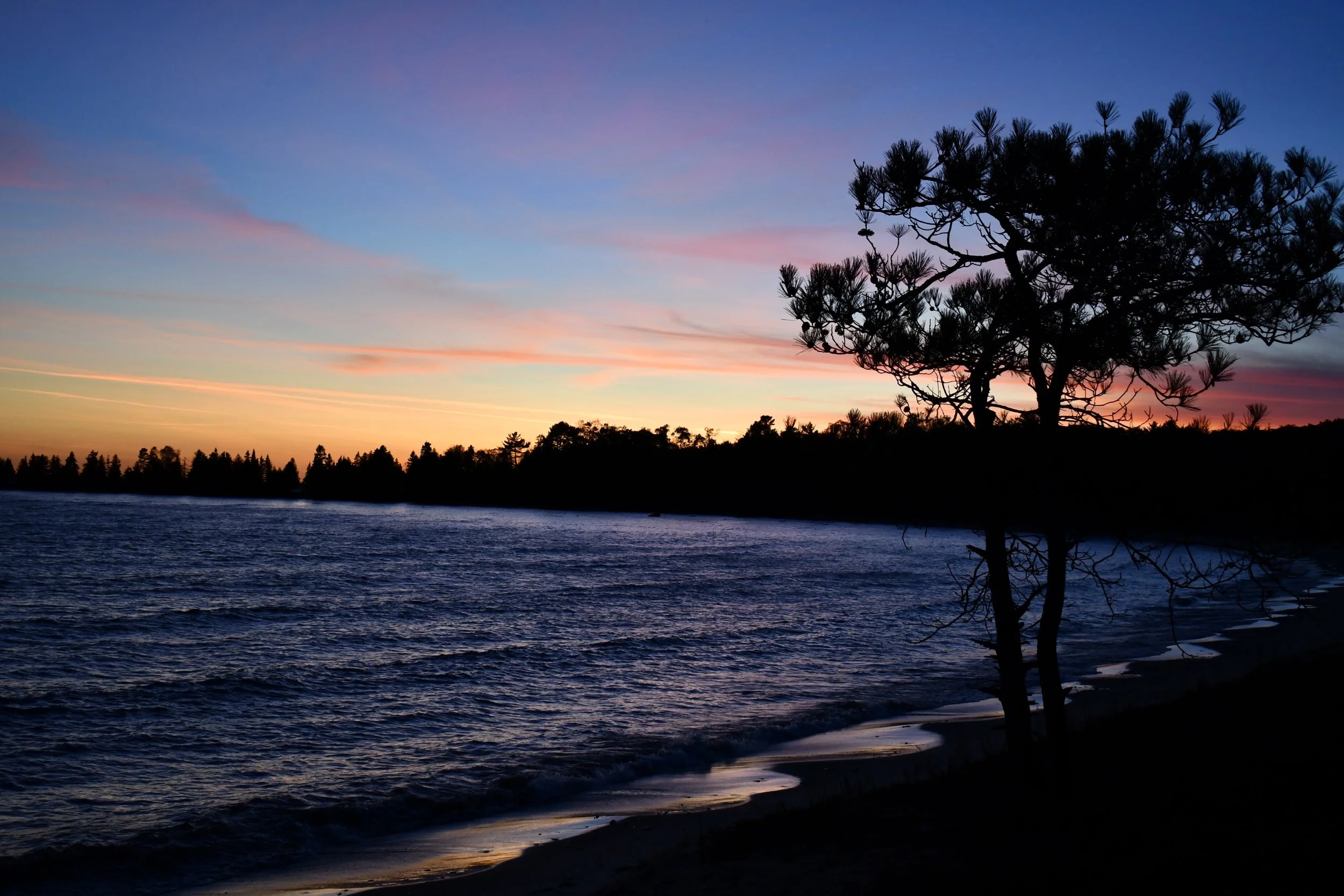 DSC_0208.jpg