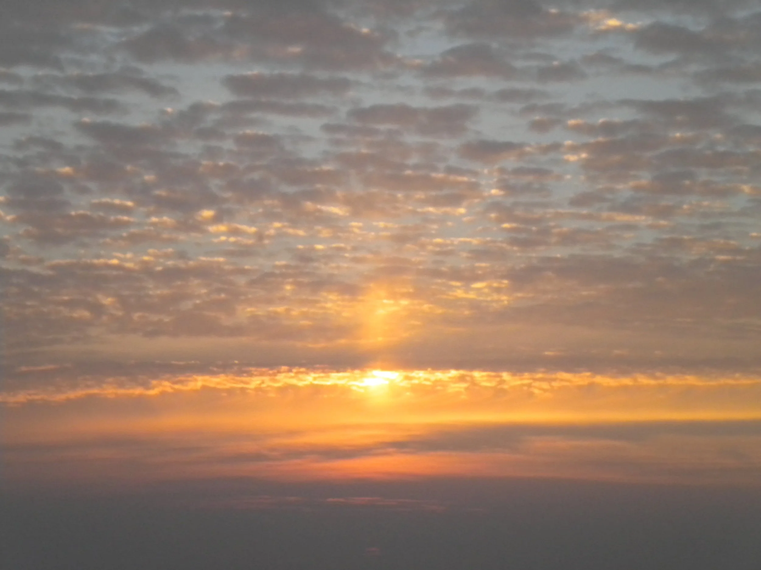 DSCN4299.jpg