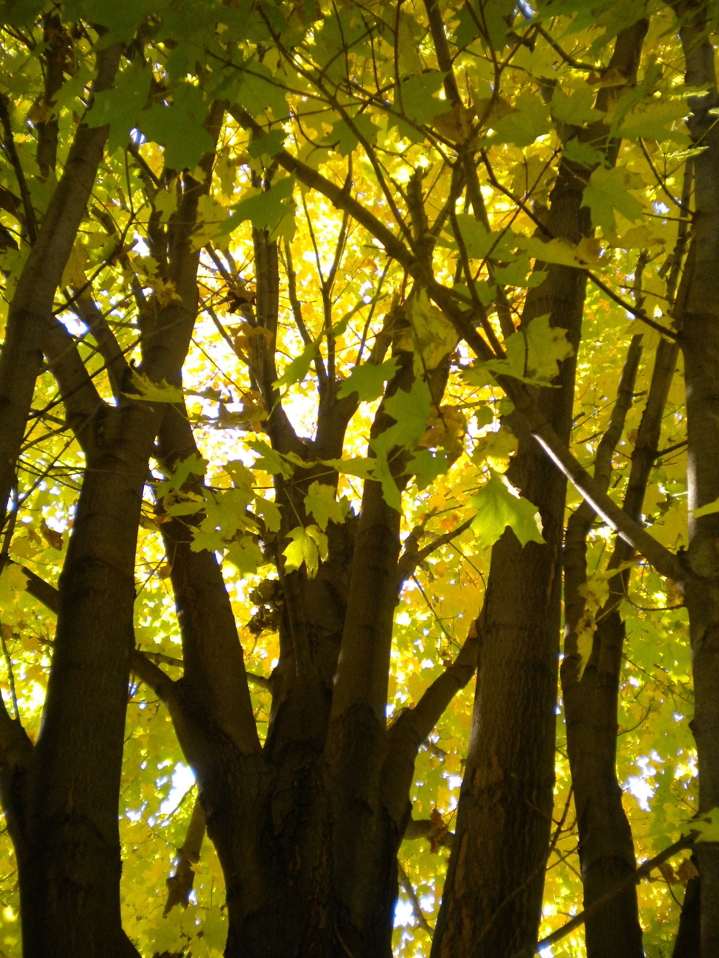 DSCN6983.JPG