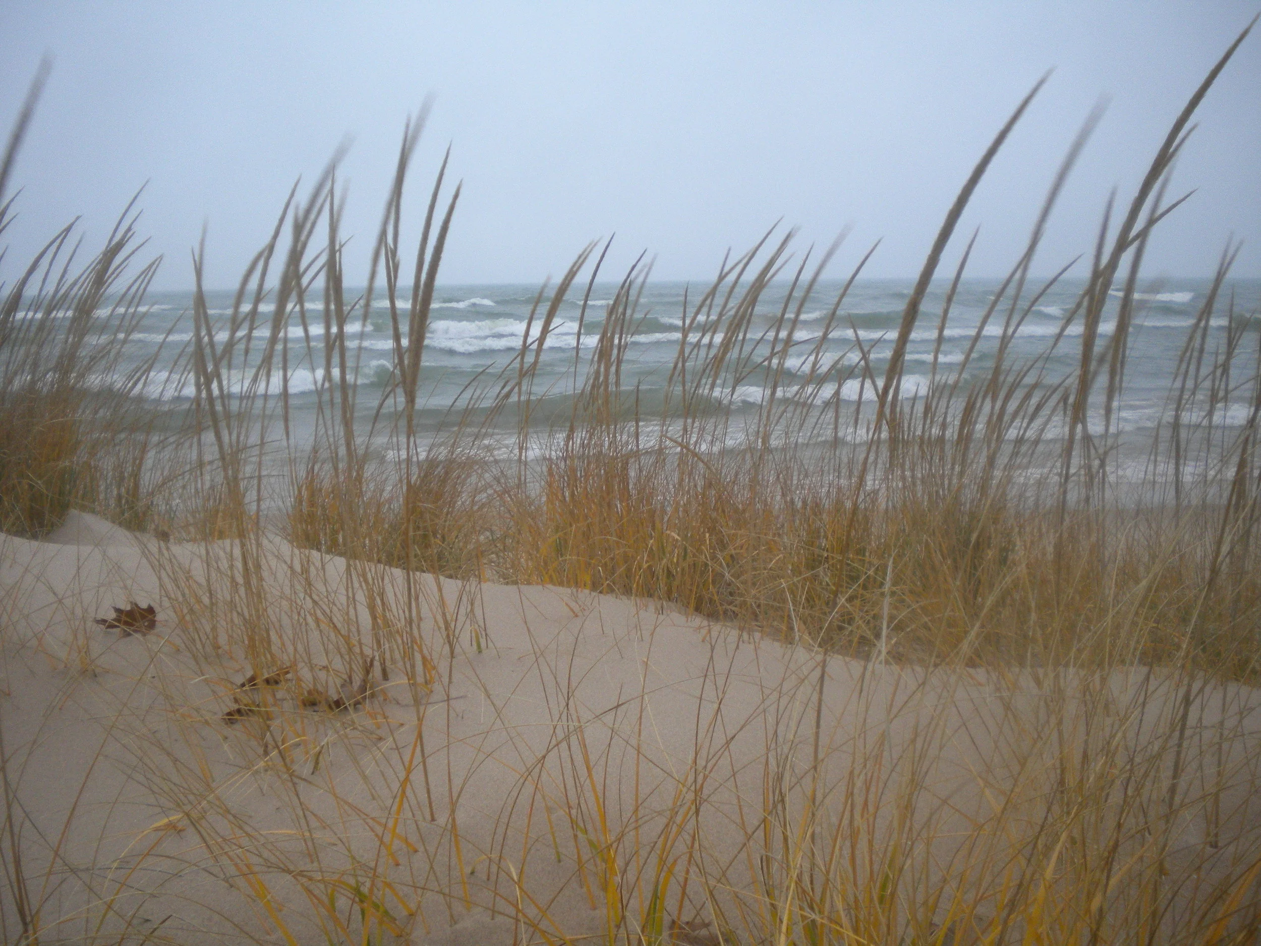 DSCN7389.JPG