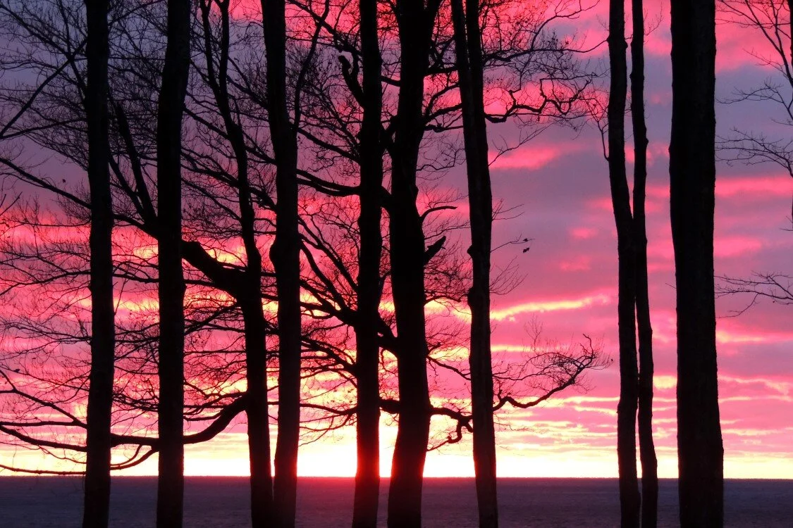 pink sunset.jpg