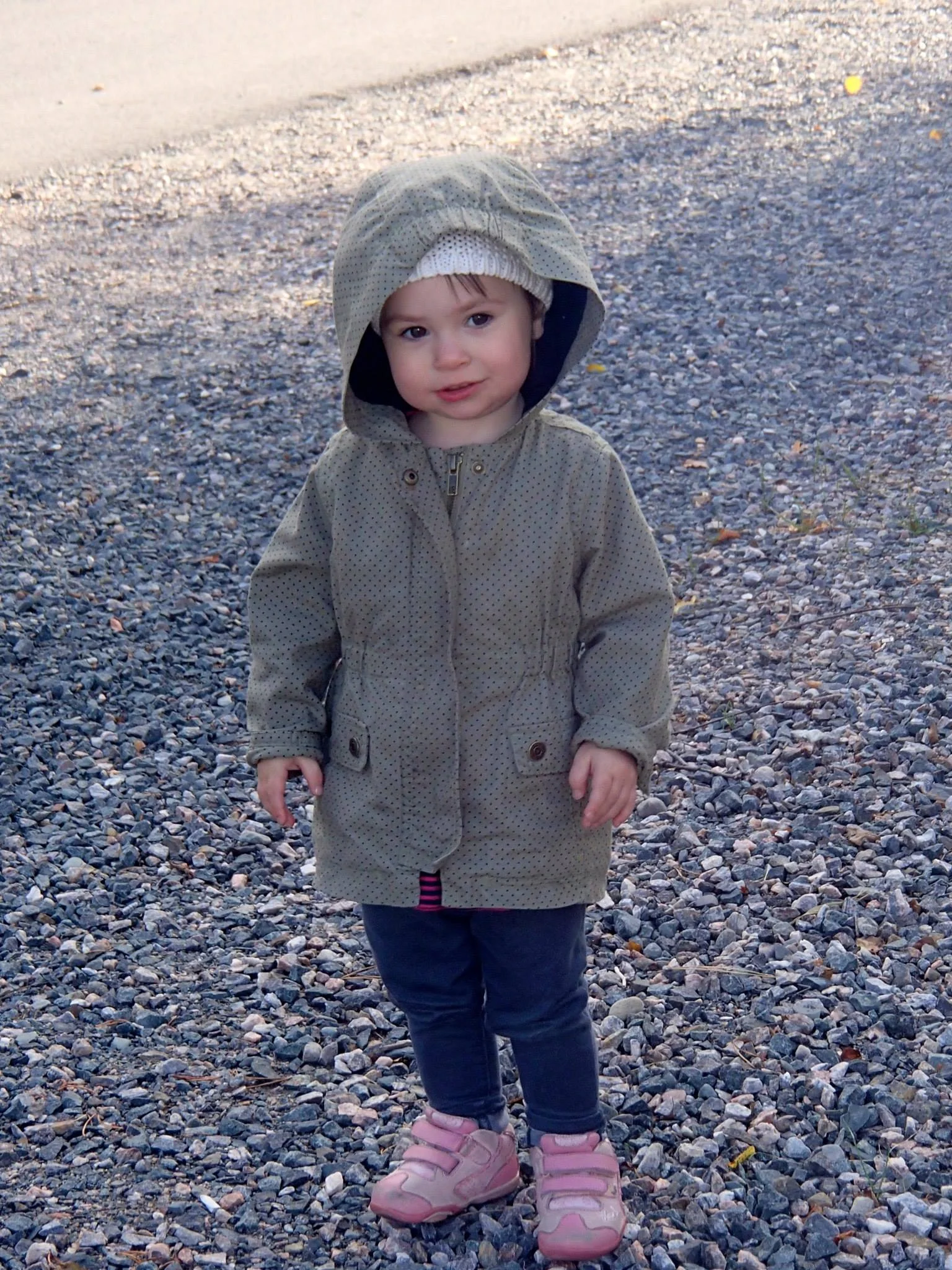 The 'F' Words in Childhood Disability 