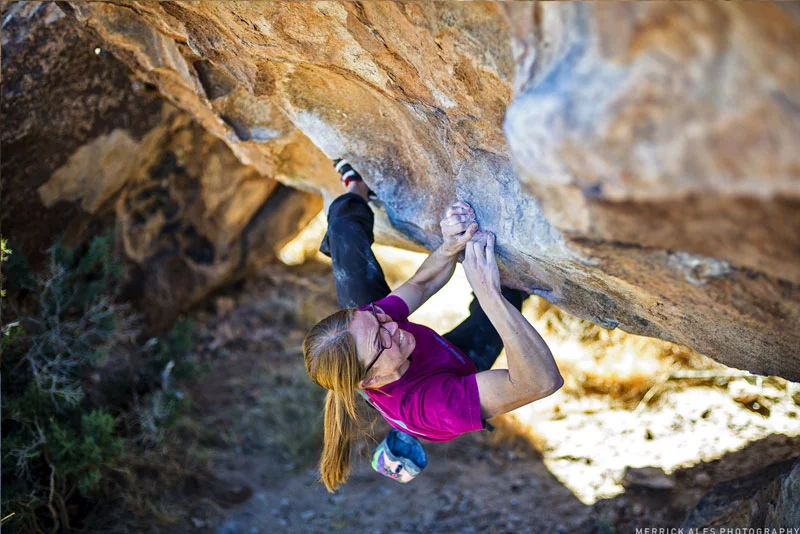 The Ladies Revolution 