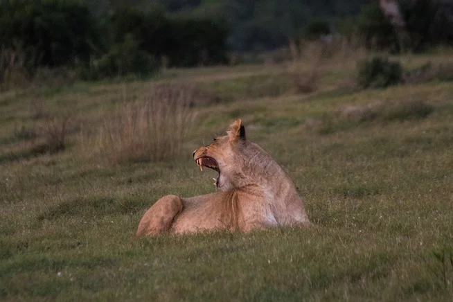 Claassen Family Vacation - South Africa