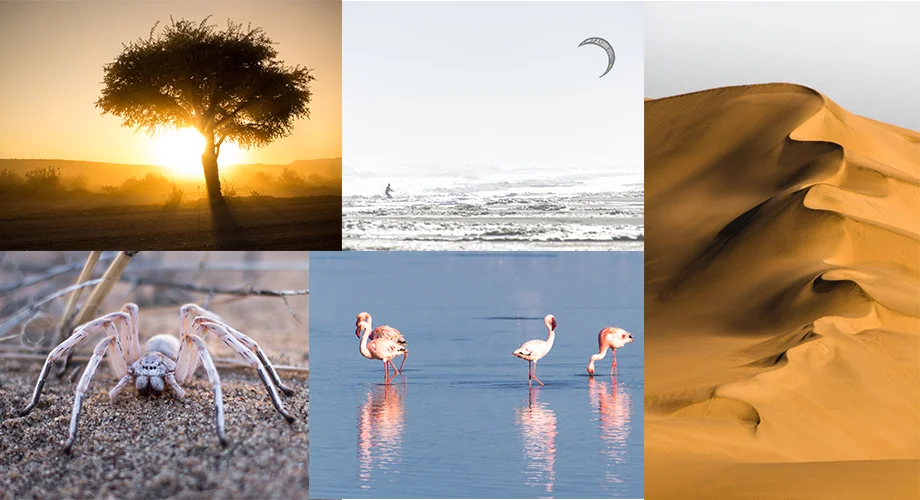 Namibia's Skeleton Coast