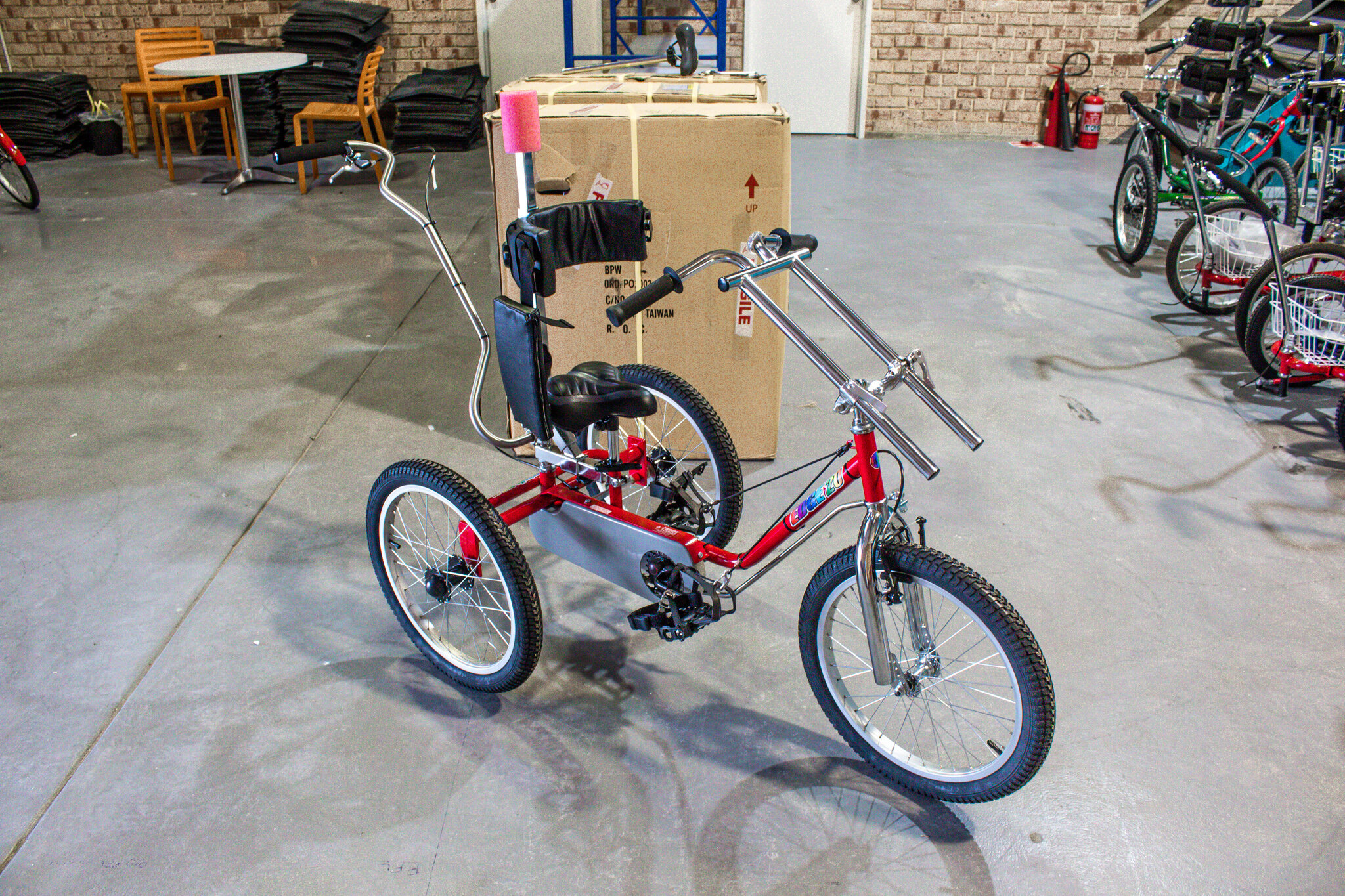 modified trike for children with disabilities