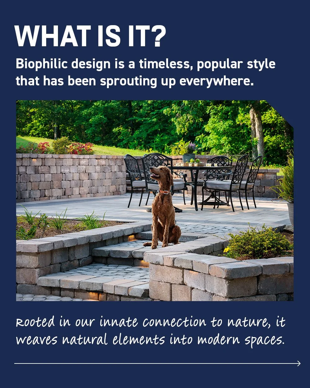 Educate_Biophilic-Design_4x5_f03.jpg