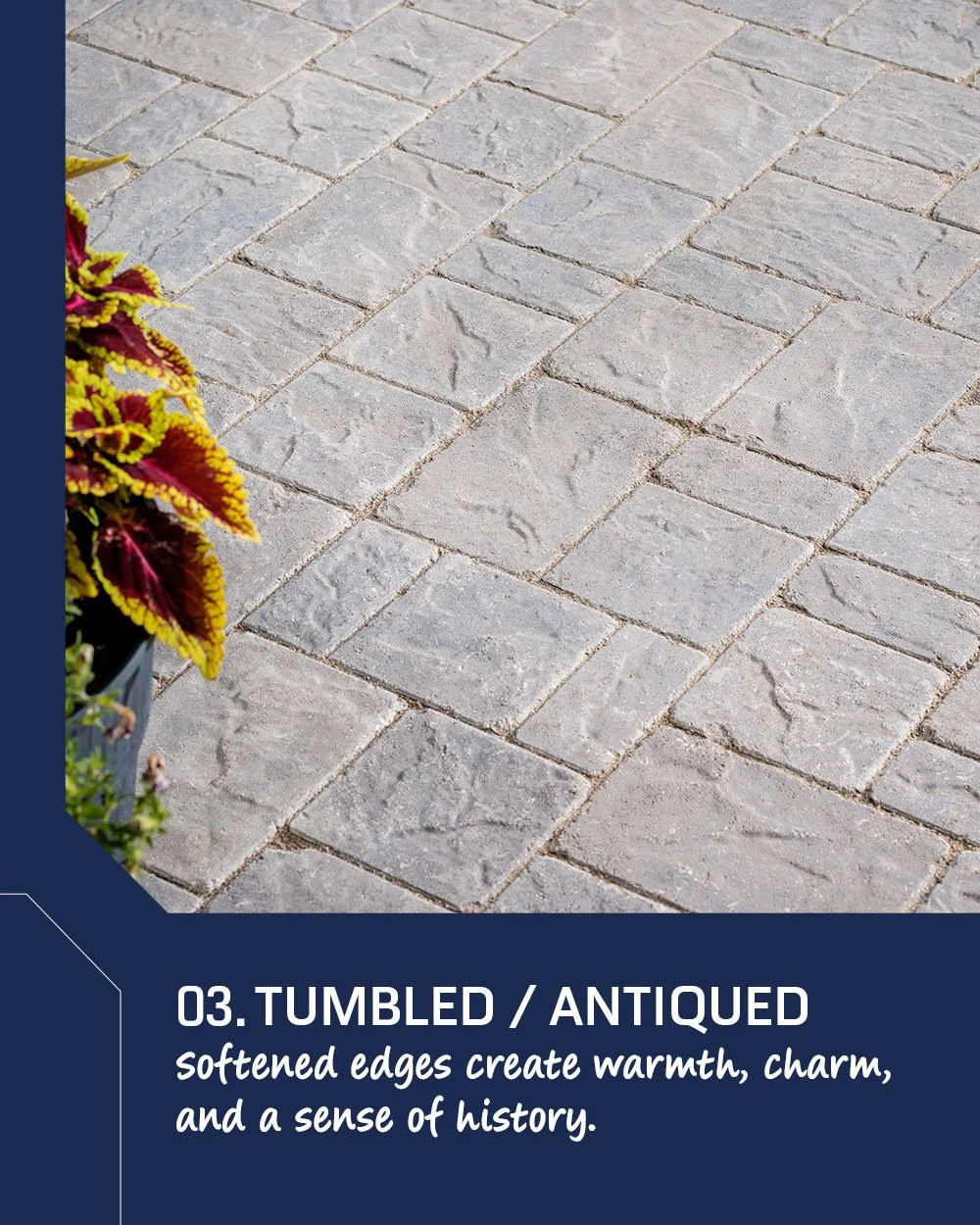4-Textures_f04.jpg