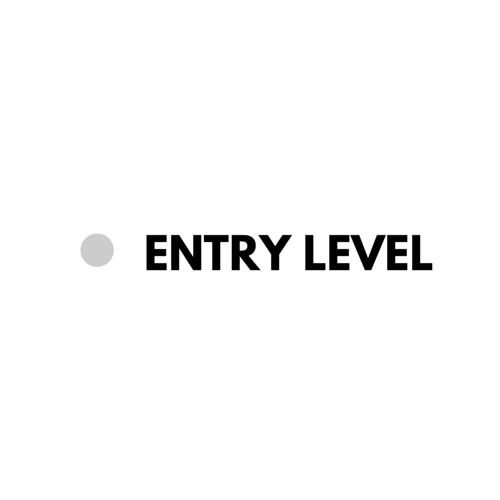 Entry Level Resume