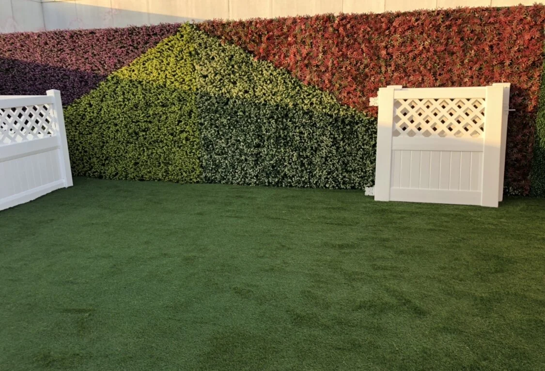 Rooftop Pet Park.jpg