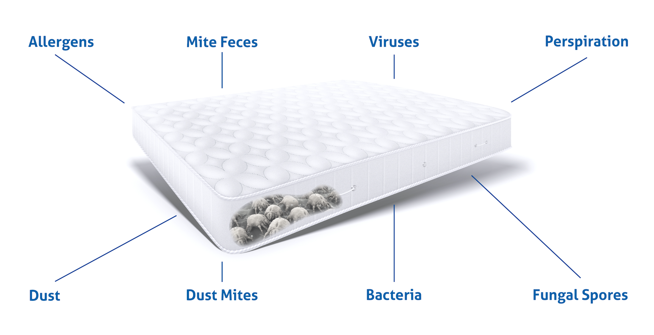 Who do you share your bed with?