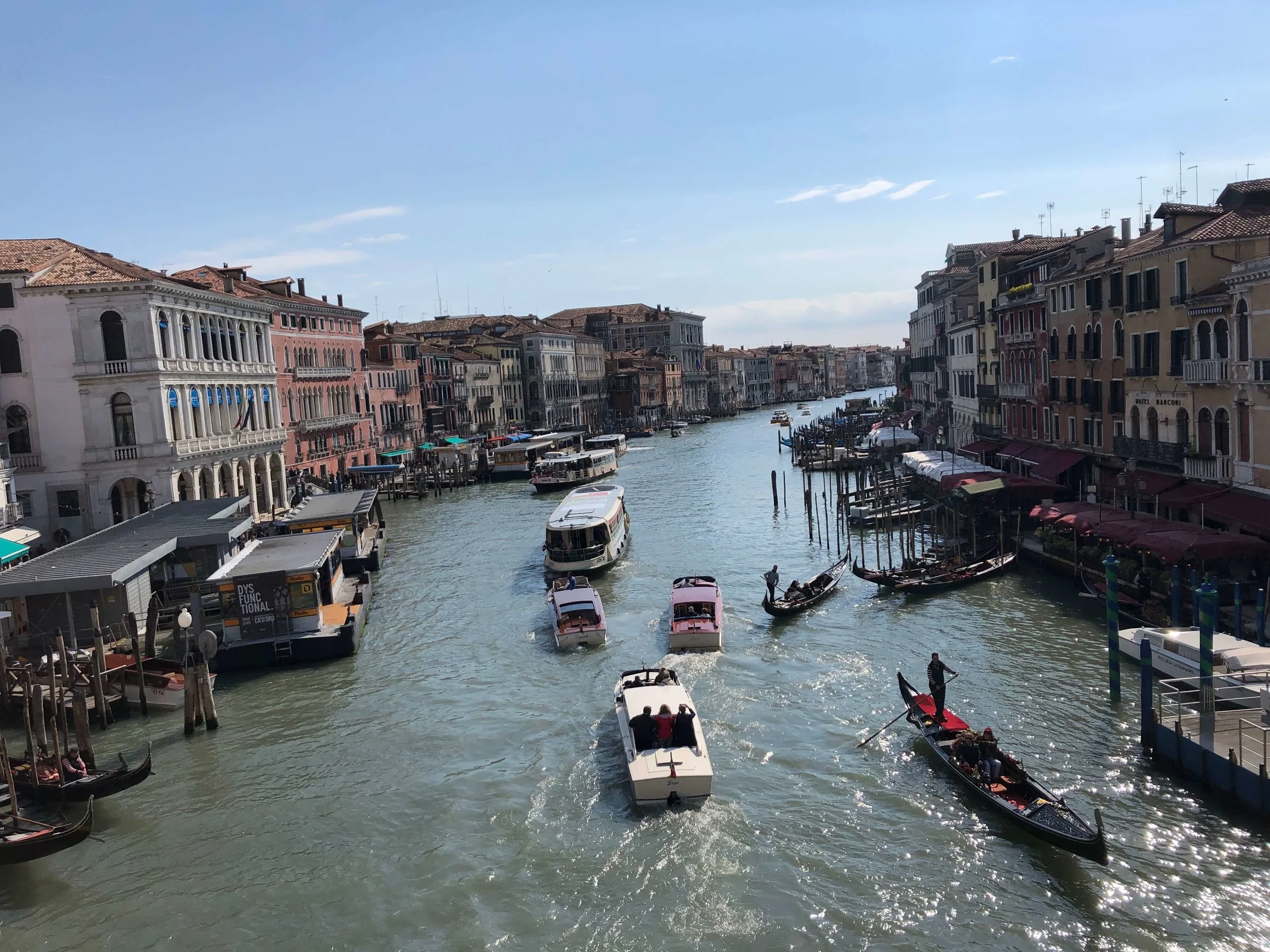 Art Novice in Venice