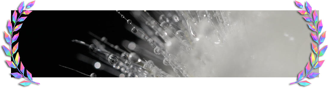 10.png