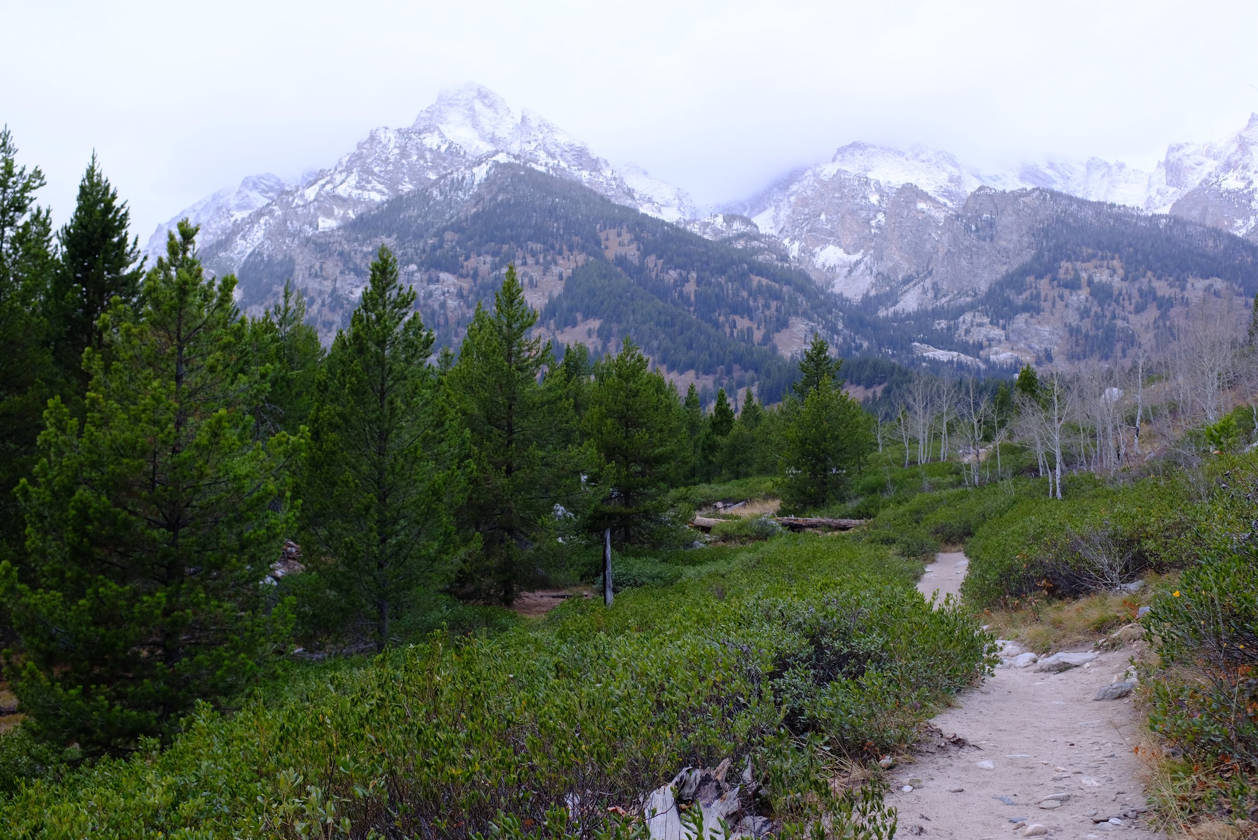 DSCF3874.JPG