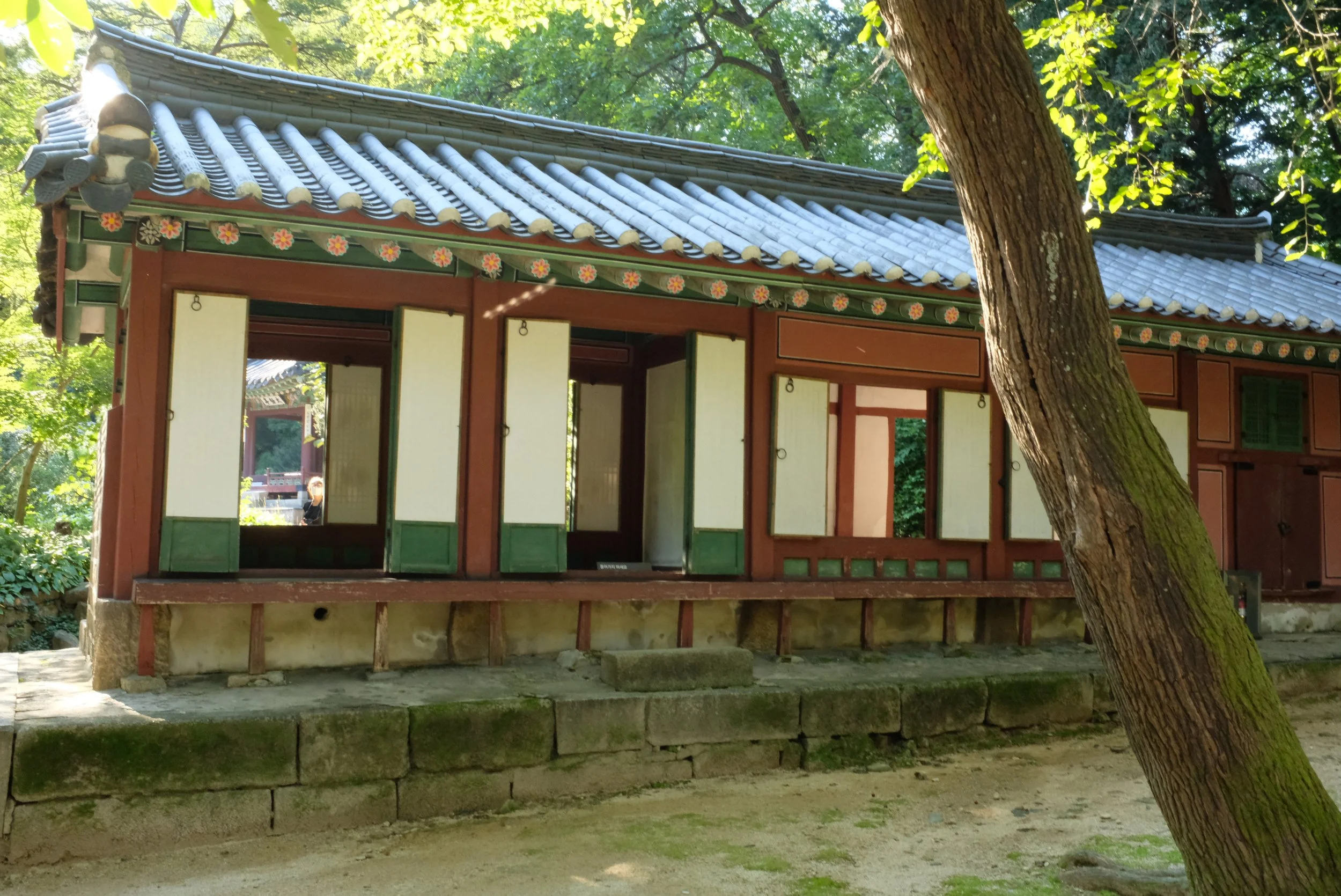 DSCF5435.JPG