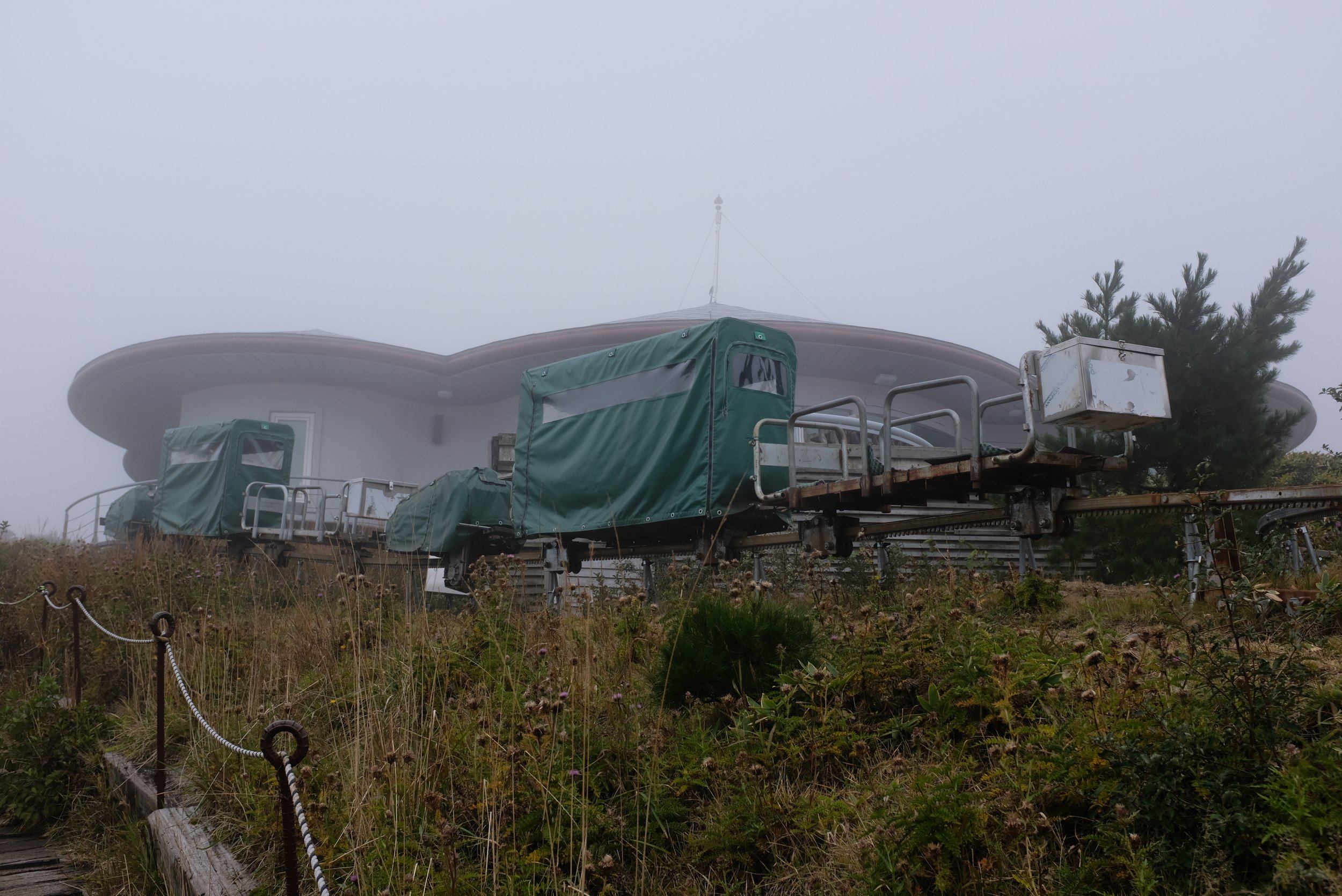 DSCF7446.JPG