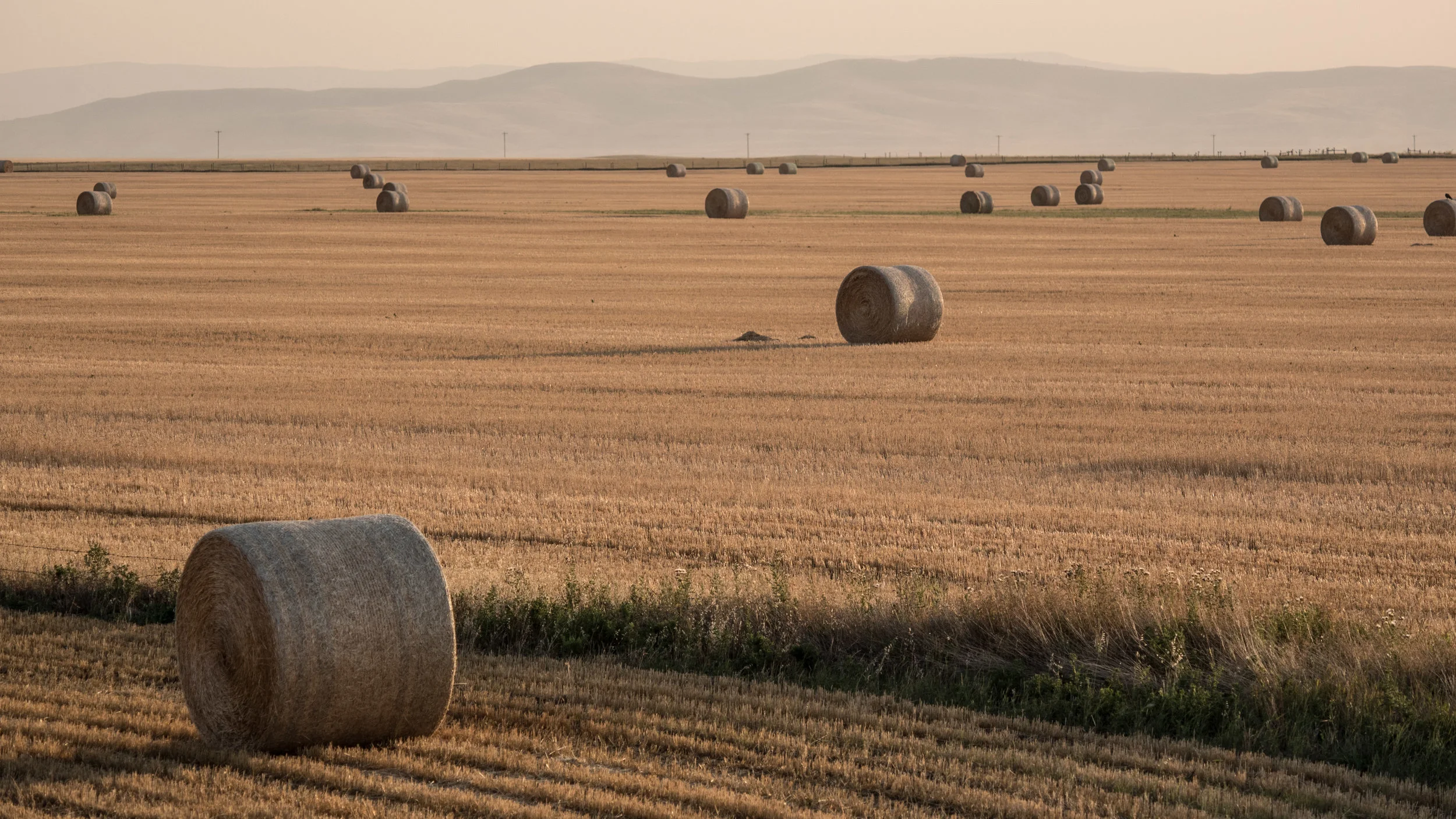 can lake 65 (1 of 1).jpg