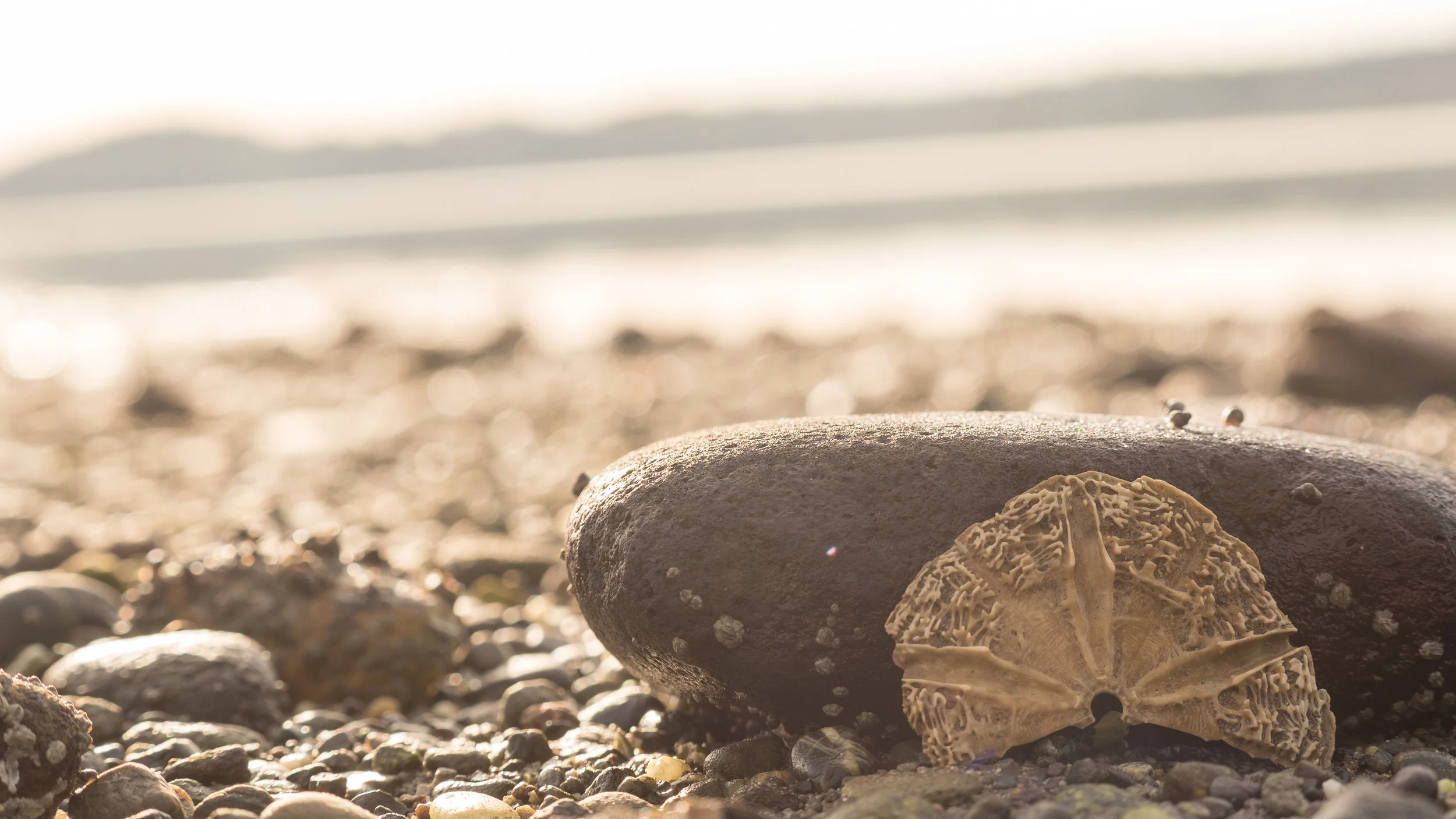 Washington (19 of 58).jpg