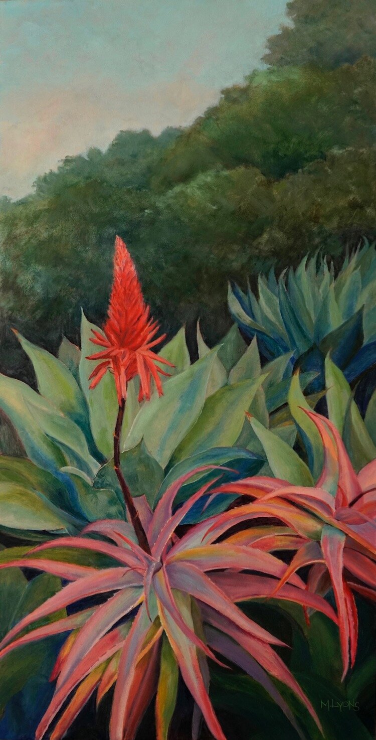 Aloes and Agaves