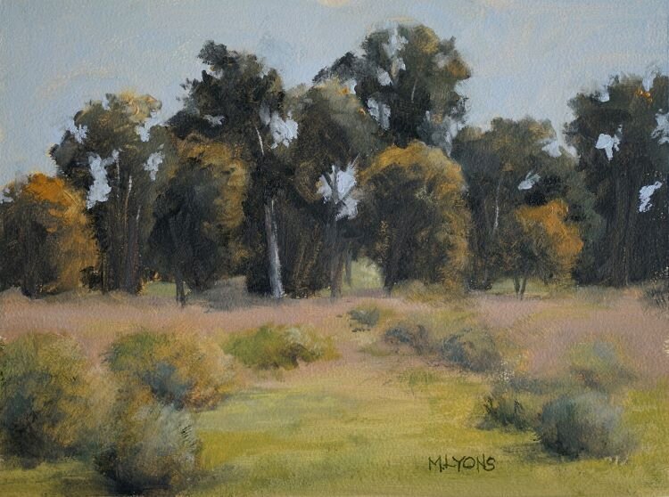 Ojai Eucalyptus 2