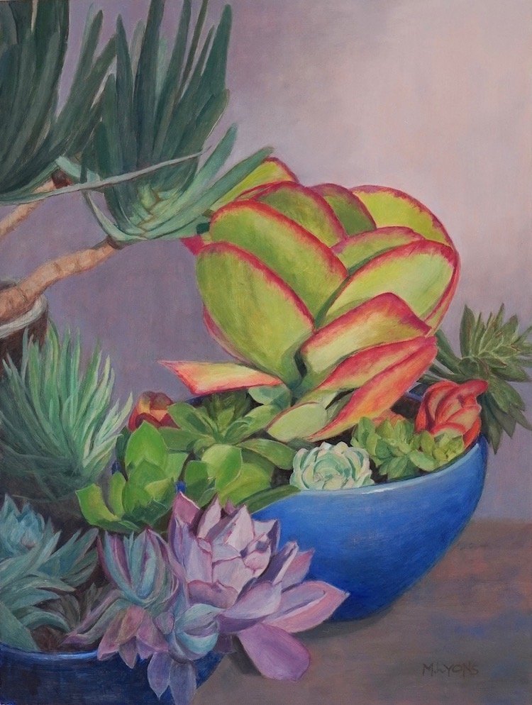 Succulent Salad