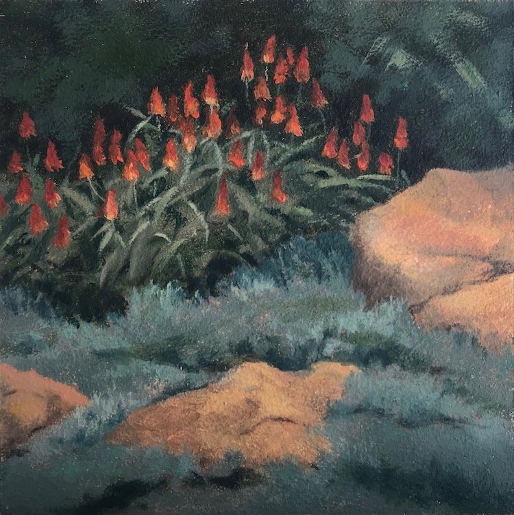 Aloes