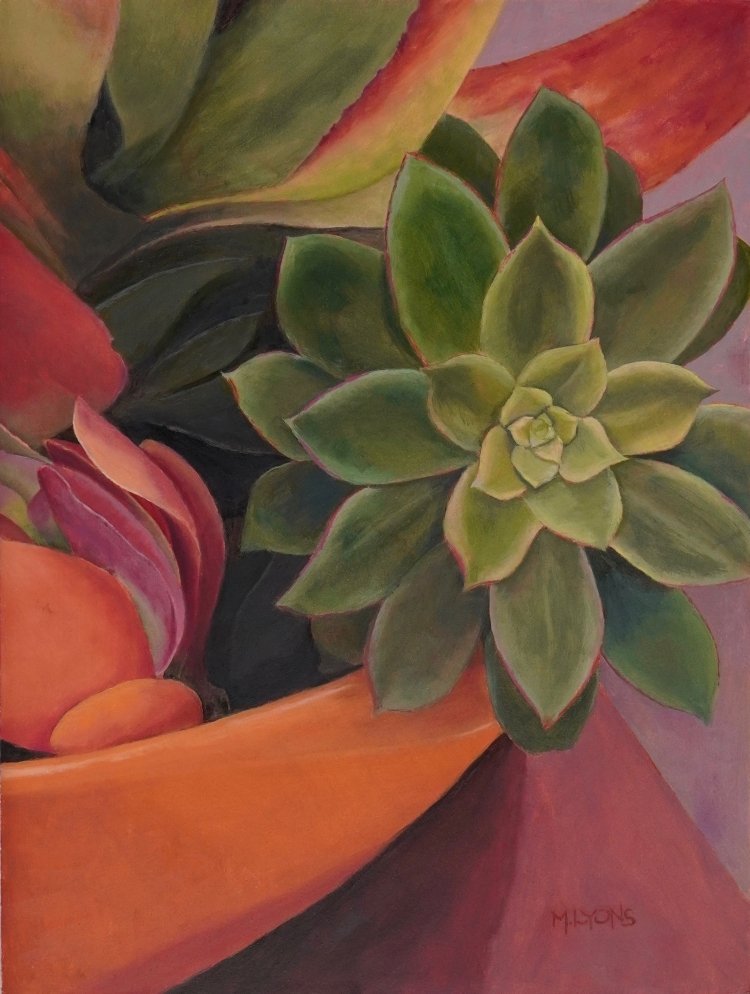 Orange Pot & Succulents