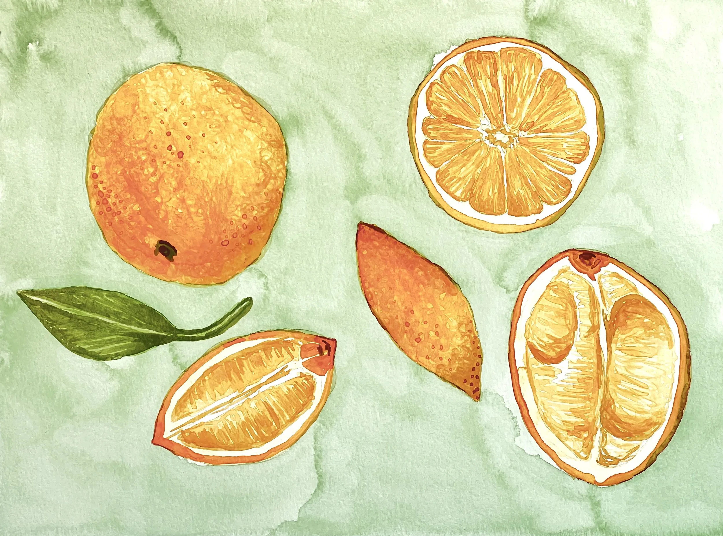 IMG_3742.jpeg