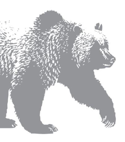 Kodiak Bear.JPG