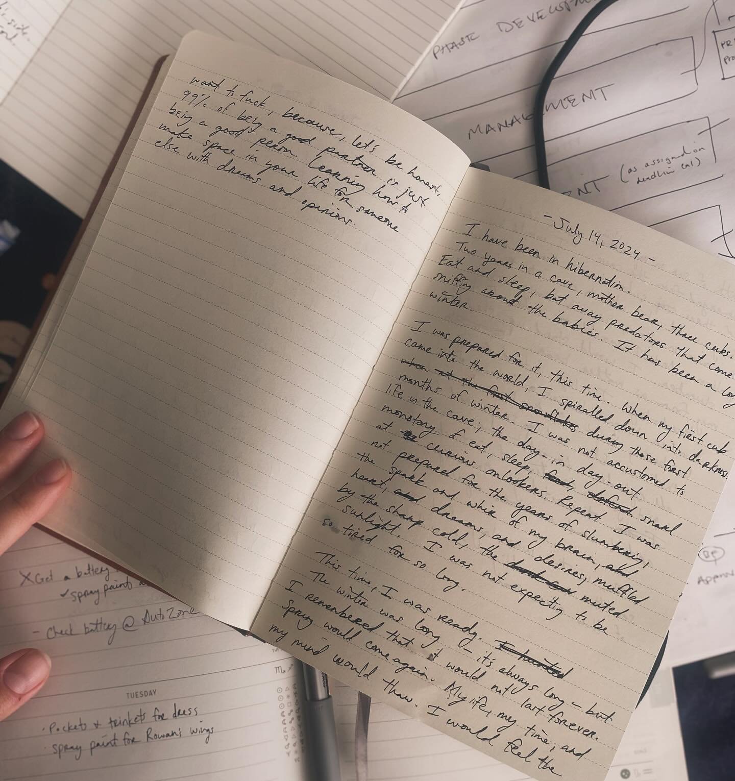 Lately, I&rsquo;ve been having an existential crisis about newsletters.

The general advice among industry professions is that authors are supposed to write. (Boo.) And they&rsquo;re not just supposed to write books and poems and essays - they&rsquo;